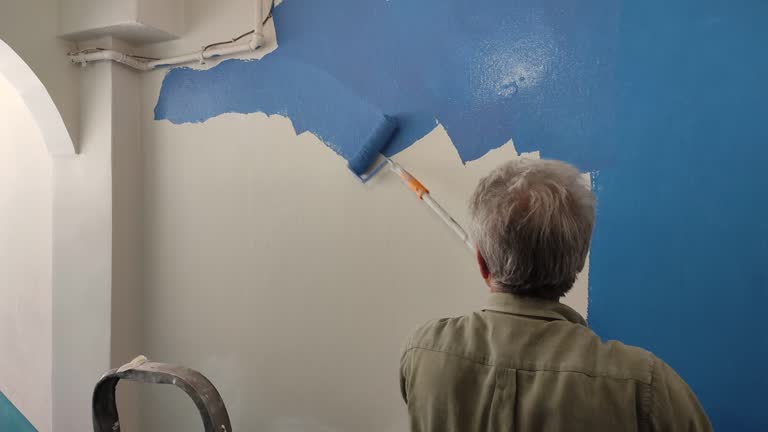 Best Fire-Damaged Drywall Repair  in Morrison, IL